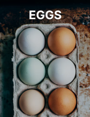 Eggs1Text